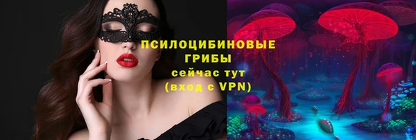 дживик Волоколамск