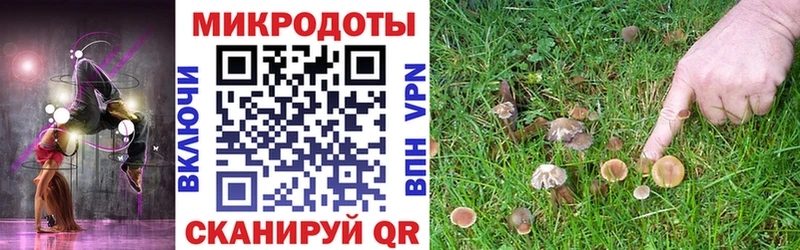 как найти закладки  Саранск  Псилоцибиновые грибы мухоморы 